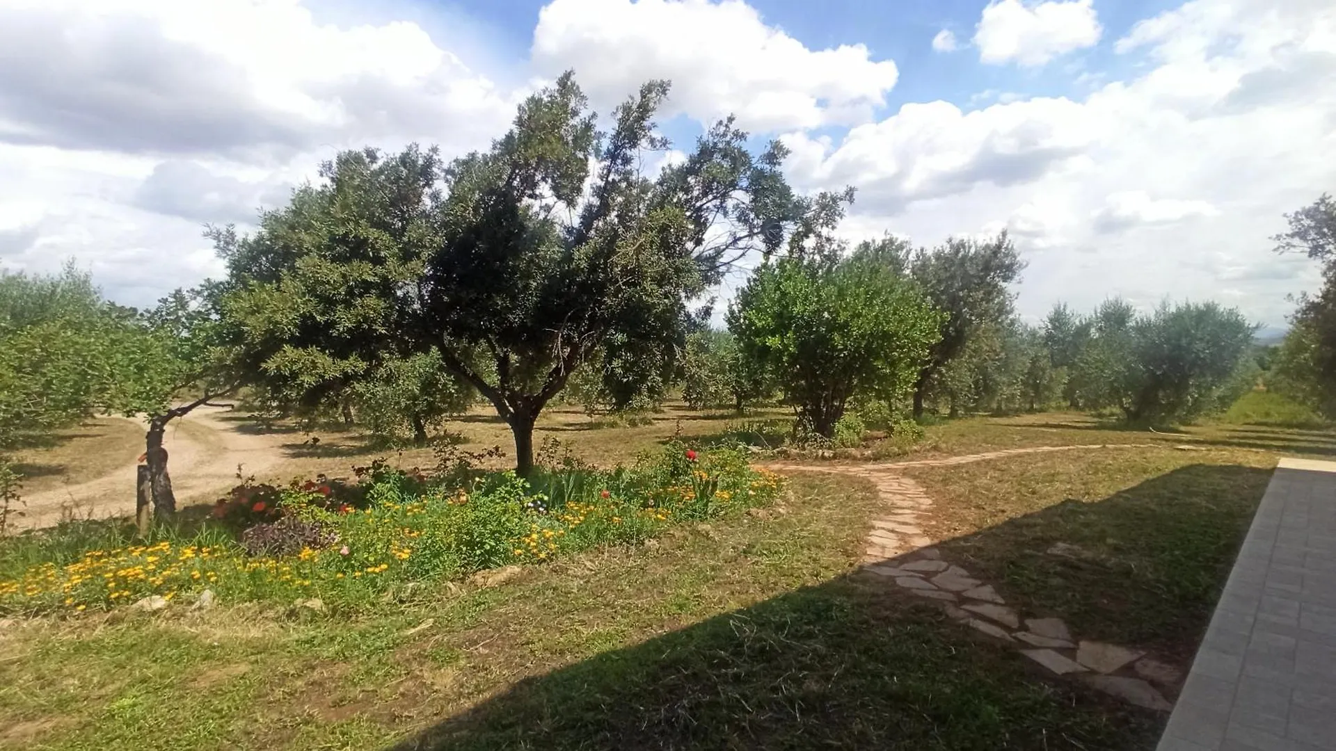 Agriturismo La Tana Della Volpe Alberese Itálie