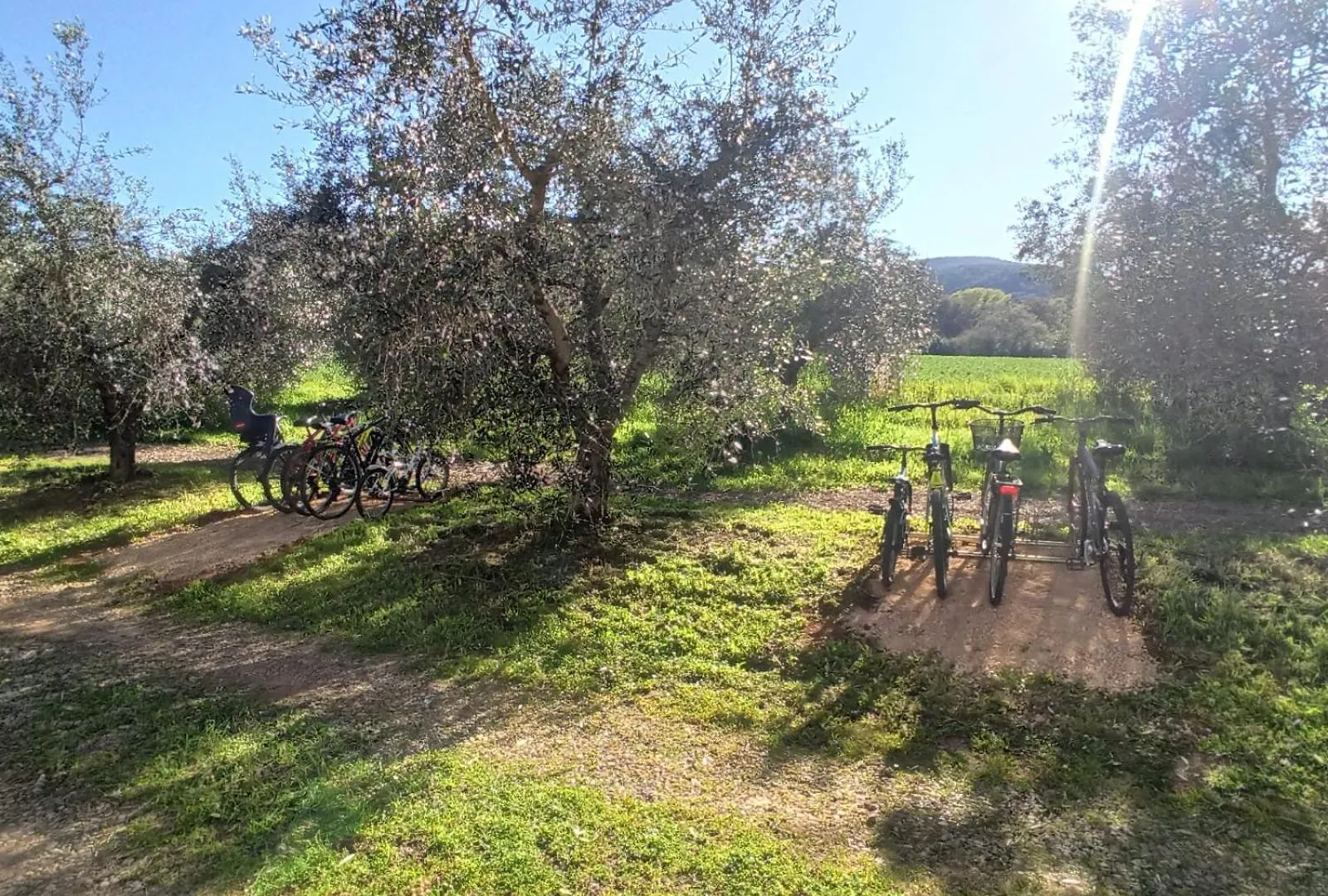 Agriturismo La Tana Della Volpe Alberese 0*,  Itálie